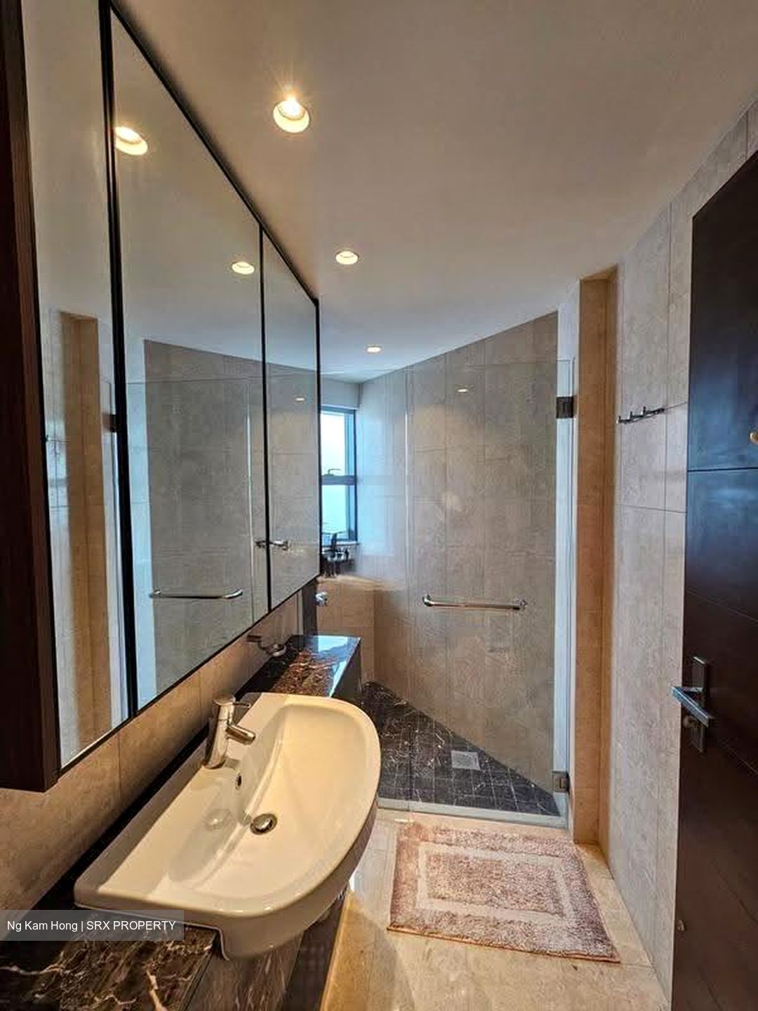 Residences @ Evelyn (D11), Condominium #630241041